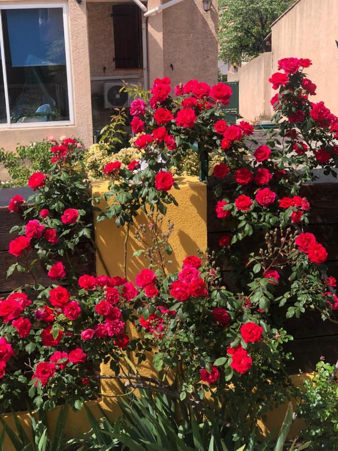 Chez Guy Bed & Breakfast Marseille Luaran gambar